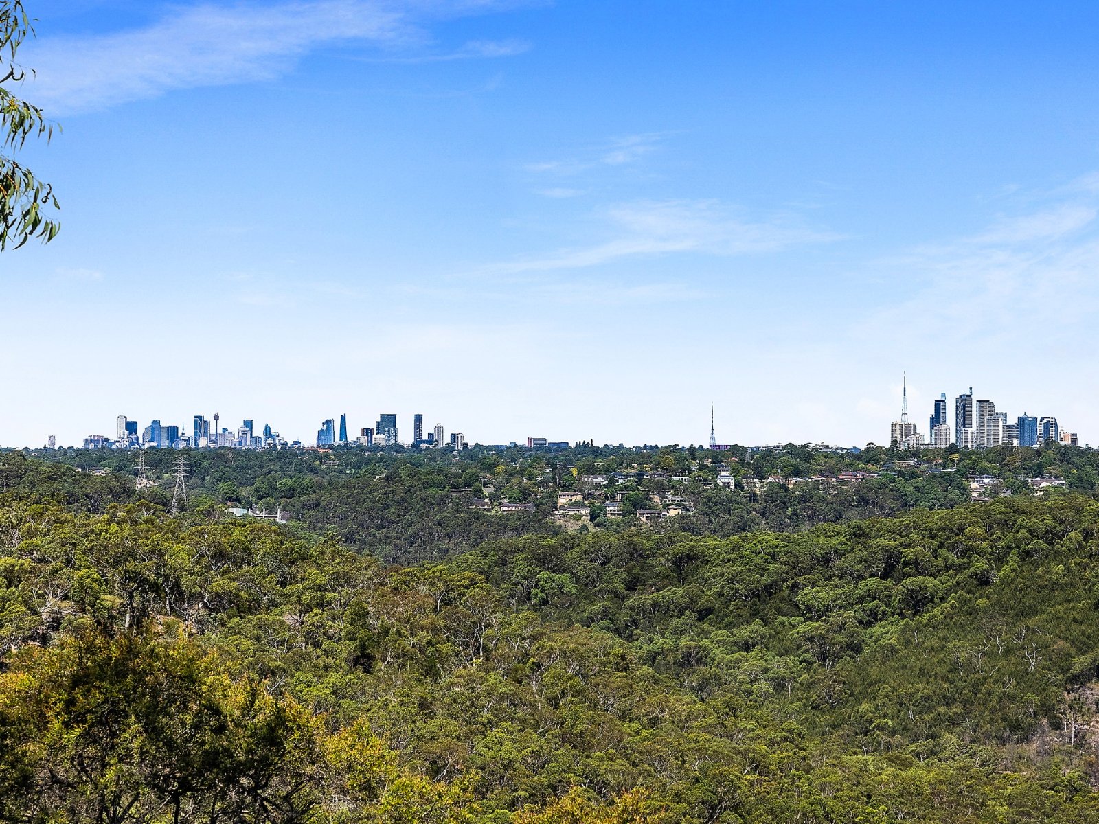 49 Sir Thomas Mitchell Drive, Davidson